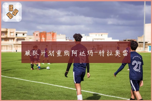 狼队计划重购阿达玛-特拉奥雷