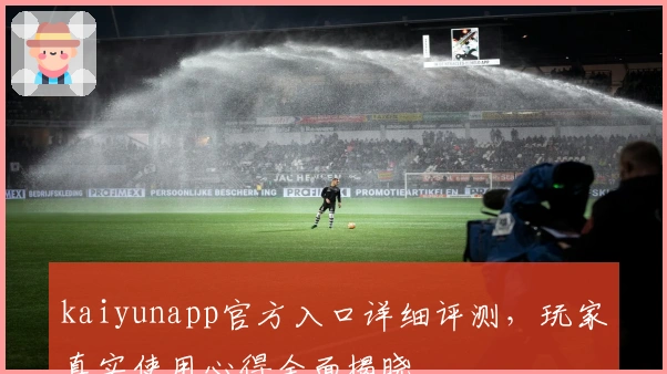 kaiyunapp官方入口详细评测，玩家真实使用心得全面揭晓